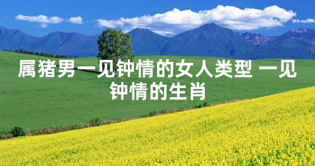 属猪男一见钟情的女人类型 一见钟情的生肖